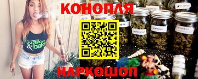 Альфа ПВП Малгобек