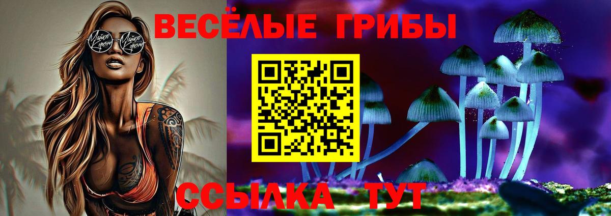 Псилоцибиновые грибы мухоморы Хасавюрт