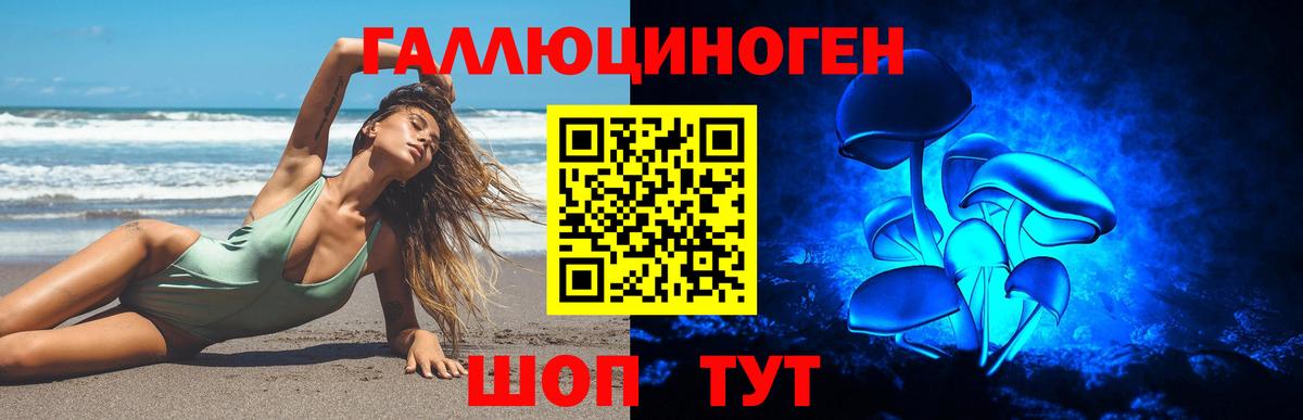 Хасавюрт  Псилоцибиновые грибы ЛСД  Вход с VPN 