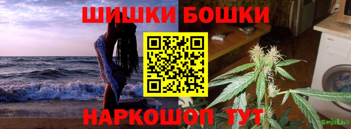 Каннабис индика Хасавюрт